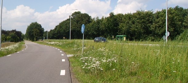 De N310 tussen Kootwijkerbroek en Stroe