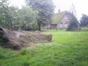 De vervallen schaapskooi bij boerderij Holzenbosch