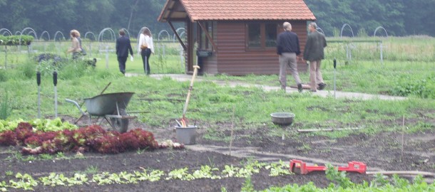 Werkbezoek zorgboerderij het Paradijs De Glind (De Moestuin)