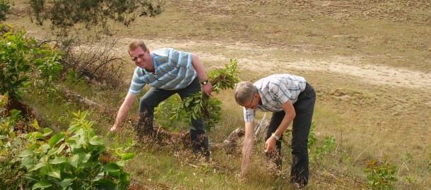 wat is dit? illegale bomenkap door raadsleden??