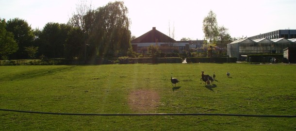 Groen van Prinsterercollege VMBO