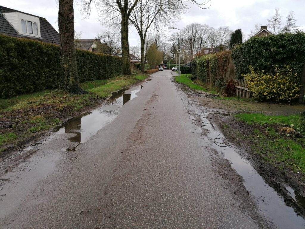 Foto van de Schoonengweg in de wijk Holzenbosch in Voorthuizen